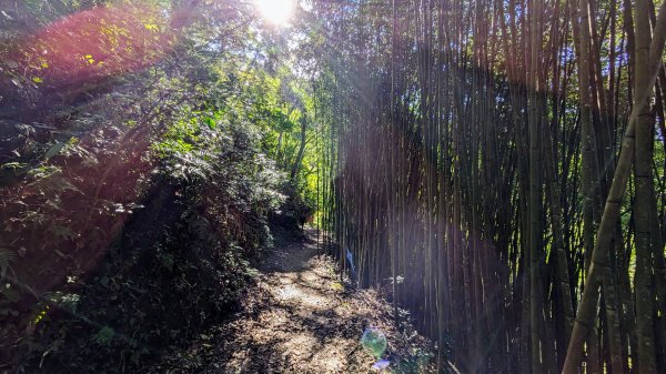 霞喀羅國家步道養老段2349337