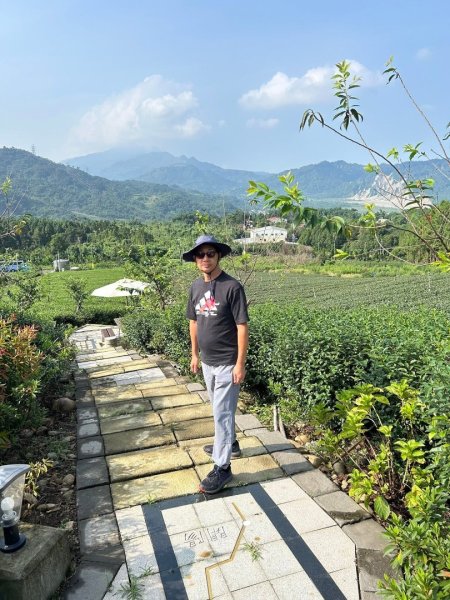 ［竹山］山坪頂茶山七星步道2909679