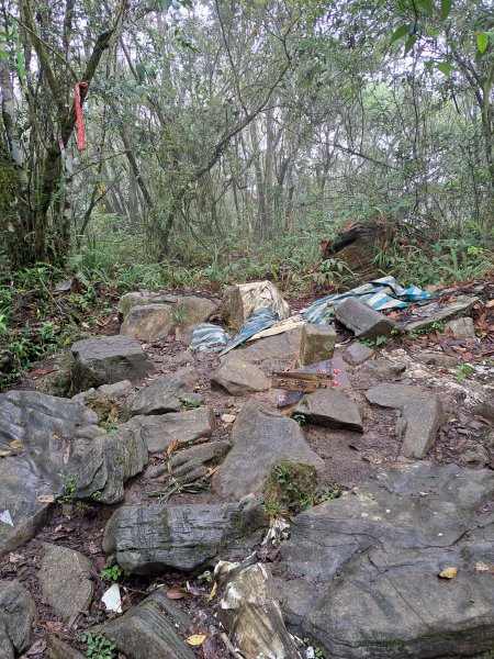 砂卡礑二日行D1：得卡倫步道→大禮部落→砂卡礑林道→立霧山→大同部落202312022368273