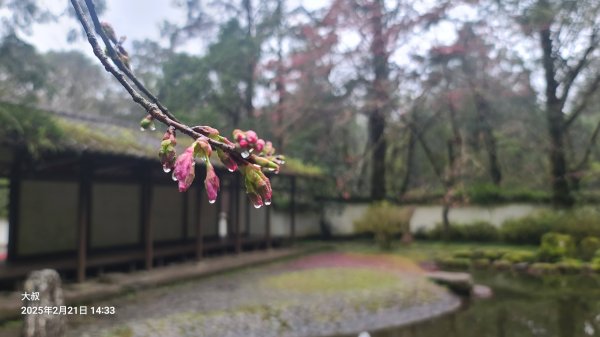 2025-0221 明池步道2718258