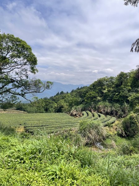 司公髻尾山2802990