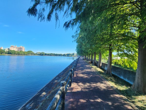 20241019 Ubike 湖口 ~ 大溪2671651