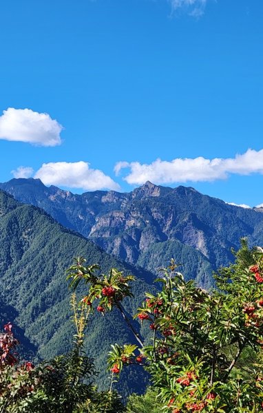 【中級山縱走】羅馬縱走，走進神木的夢幻童話森林世界2943239