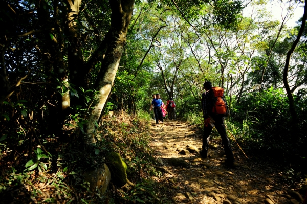 飛鳳山 觀日坪古道 健行筆記
