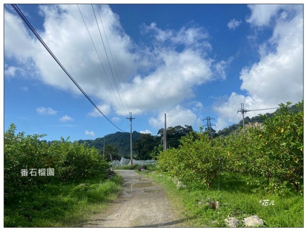 大安溪峽谷 (苗栗、卓蘭)2810023