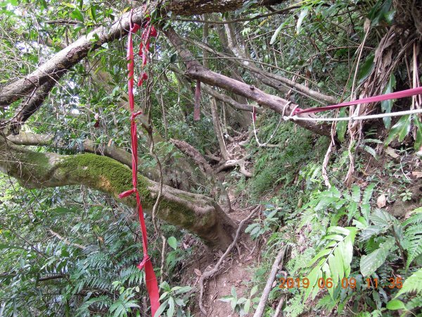 20190609_月扇湖山841481