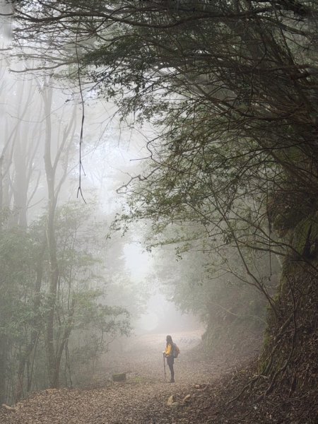 雪霸國家公園 雪見遊憩區 東洗水山2928591
