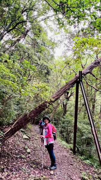 🌈7/5（日）東滿縱走（東眼山~滿月圓）FB：熊熊趴爬走(富裕登山社)🌈3082868