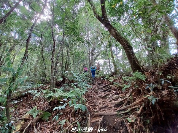 【花蓮秀林】一群人走可以激勵士氣。 小百岳集起來。 編號87小百岳~立霧山步道封面