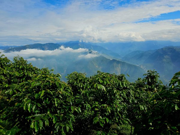 雲嘉大尖山、二尖山步道--(雲林)臺灣百大必訪步道2955767