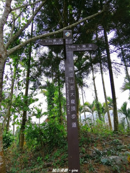 山林野宴之步道健行。 奉天岩~大巃頂步道1321345