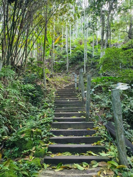 新北土城-天上山1245537