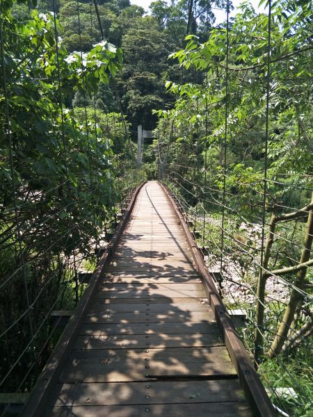 大坑4號步道&頭嵙山374840