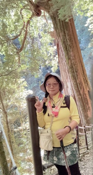 漫遊大雪山森林 訪尋雪山大小神木 快閃天池2922781