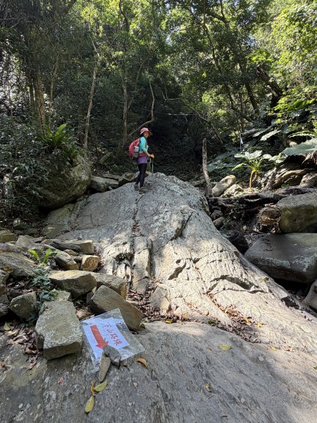 女仍山+帽子山O繞 202602273009552