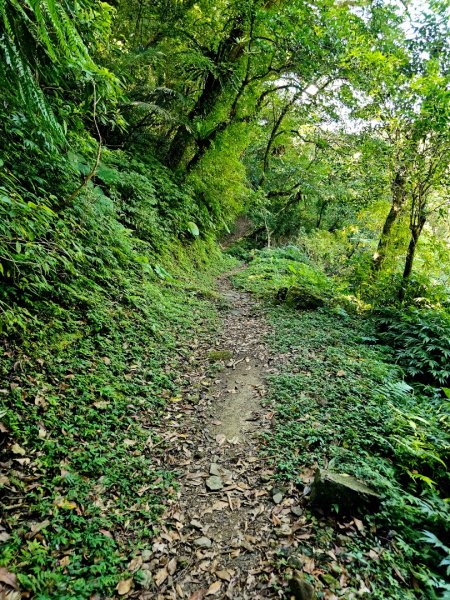 灣潭古道(淡蘭中路)-新北市雙溪區2882686