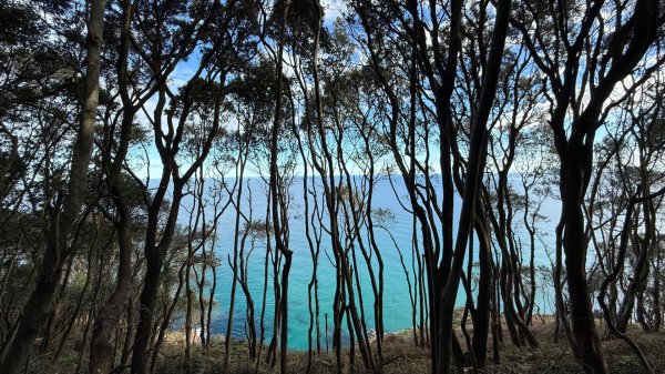 燈塔與懸崖 + 桑托尼亞的布西耶羅峰 🇪🇸 西班牙2771452