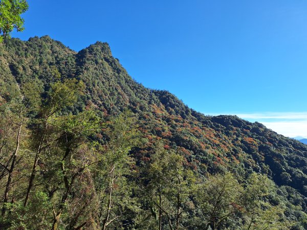 石山引水道202512112959583