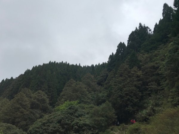 特富野古道903217