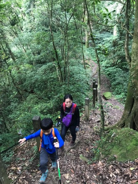 起九芎神木嘉南雲峰.石壁山.好望角432406