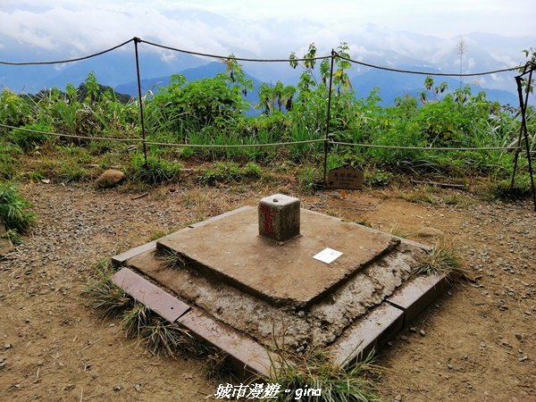 【苗栗。大湖】喜見雲海。 小百岳集起來。 編號37小百岳馬那邦山1509690