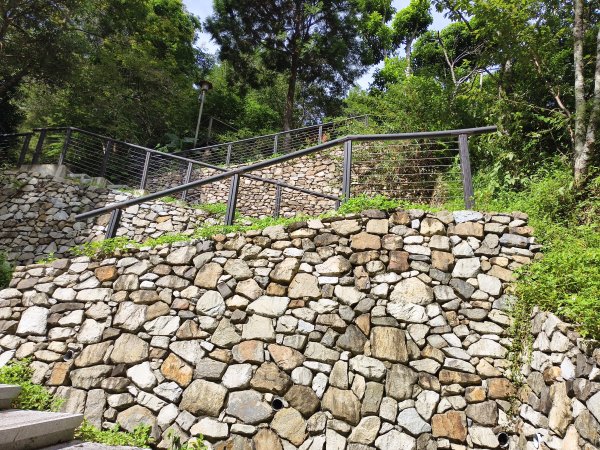 [百山百鳥尋旅-07/15] 2025_0831 八仙山國家森林遊樂區步道群_天籟步道2875906