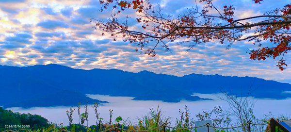 二訪馬拉邦山，解鎖 #琉璃光雲海 #日出雲海  #血月 #斜射光 #楓葉紅了！2668661