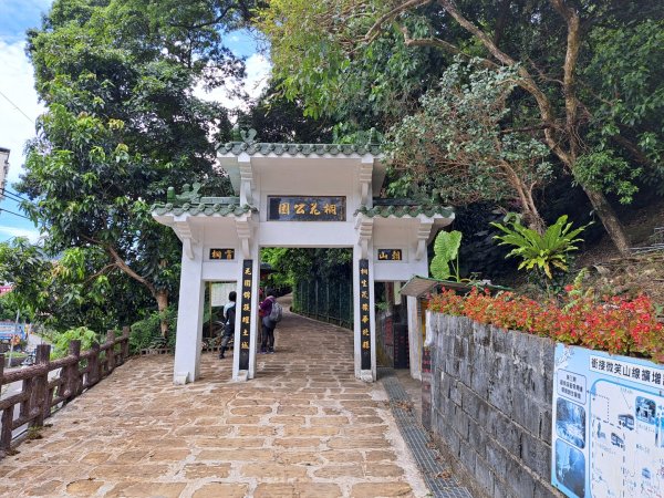 2026微笑山線望月亭桐花段3103847
