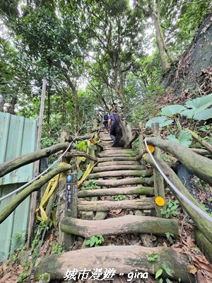 【台中北屯】大坑四號步道x頭嵙山3090936