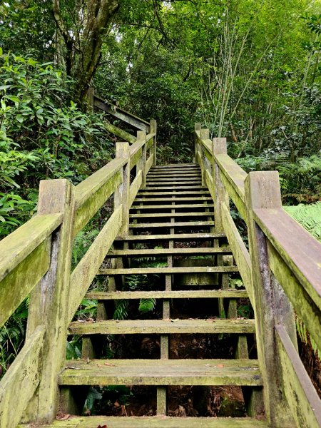 四寮溪生態步道-2025森遊竹縣皮皮獅探險隊2889102