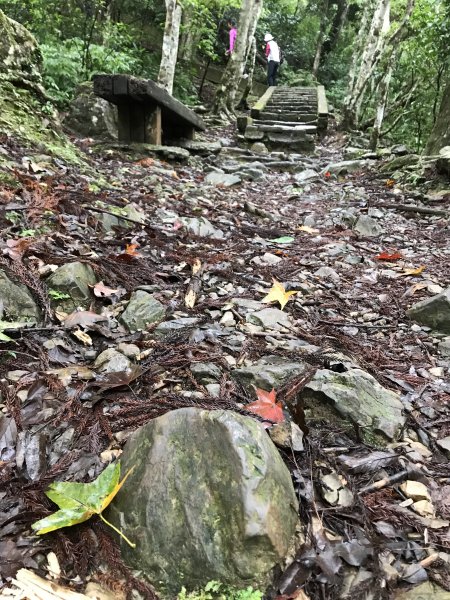 109年12月12日 新北 滿月圓森林遊樂區1365675