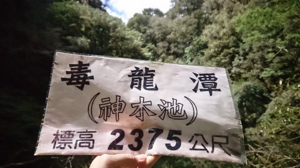 鎮西堡A區步道1730693