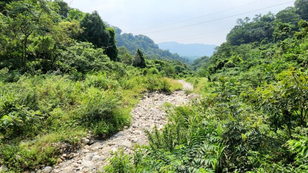 郡大山，郡大山北峰，望鄉山，白冷山，頭嵙山，黑山北峰，大坑4號，大坑3號，挑水古道，快官健行步道2299176