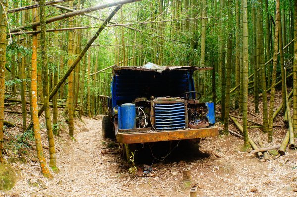 臺中 和平 大崠山、長壽山、醜崠山3028320