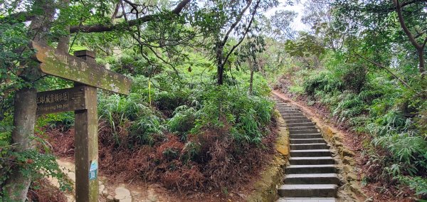 2023-12-16軍艦岩、丹鳳山親山步道2381852