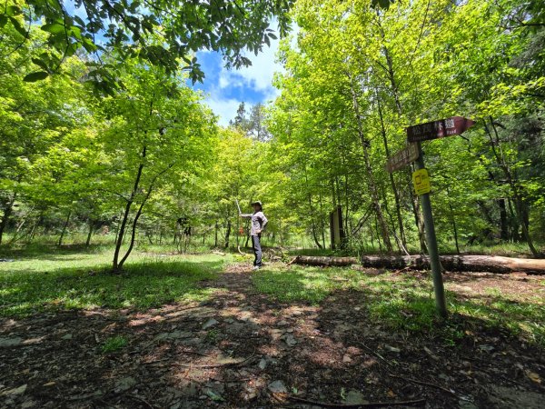 四大鳥山之首小劍山2773950
