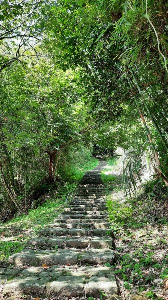 《新竹》石階古道｜橫山大崎棟古道O繞上大山背山202308252261583