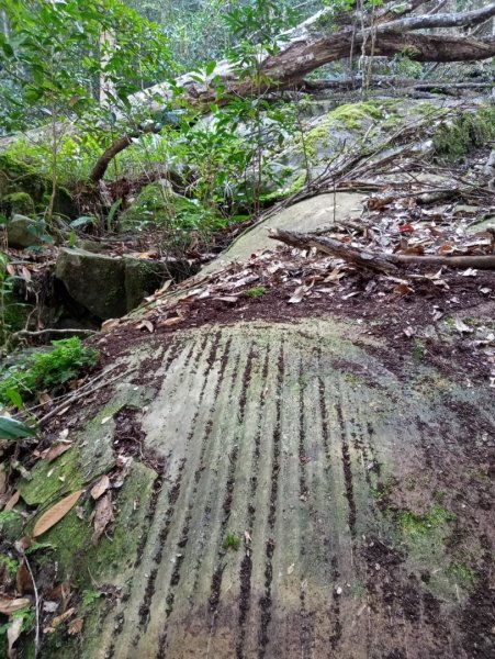 南庄加里山大坪大湳山麓2034085