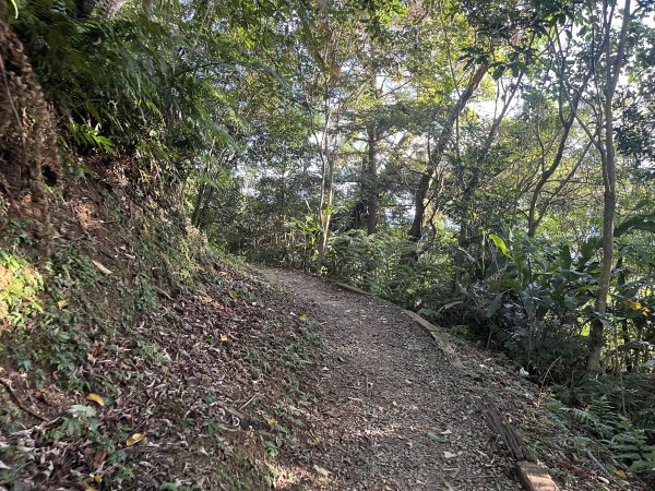 [山頂鳥40周年會員大縱走-08/15] 2024_0715 銀河洞越嶺登山步道2556758