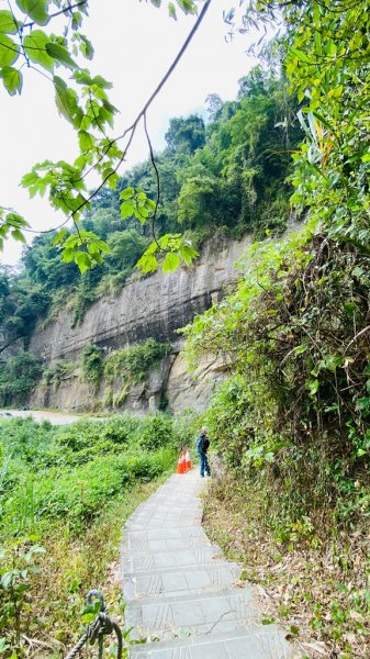 雲林古坑|峭壁雄風、幽情谷、青蛙石、水濂洞|一次看到8各景點的超高CP值步道2070387