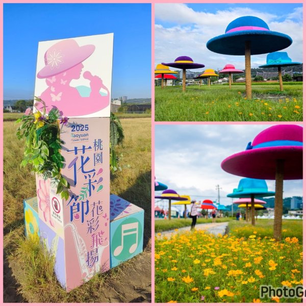 桃園大溪-花彩節🌼李騰芳古厝-月眉落雨松