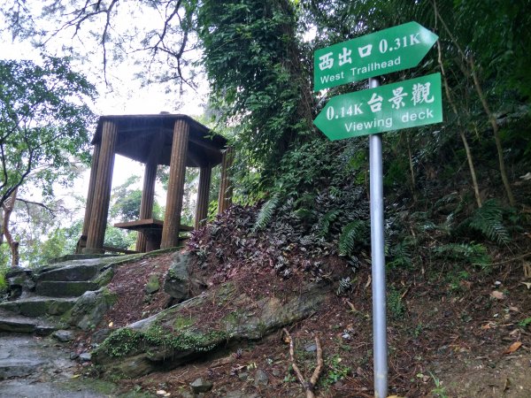 神壽任務尋寶趣-林田山林業文化園區、森坂步道1612850
