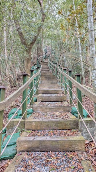 後尖山步道3008301