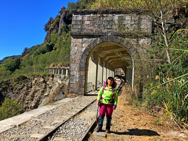 再訪眠月線 2019/11/23-24753024