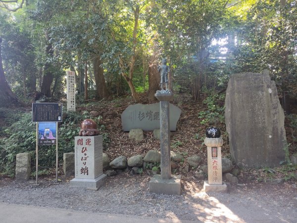 東京八王子高尾山3090123