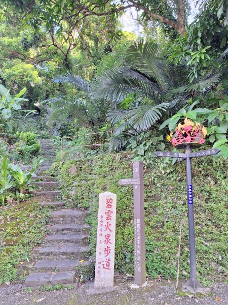 碧雲寺枕頭山O型202410062615775