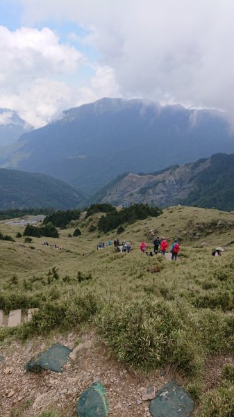 合歡山五座百岳賞杜鵑花587043