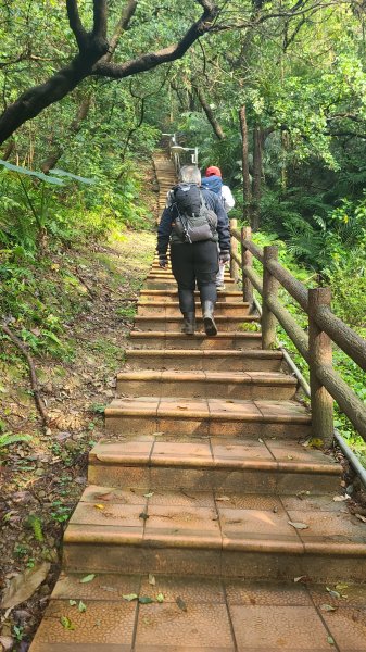 2025-0204 鶯歌_大凍山_三角埔頂山_迴龍2707985