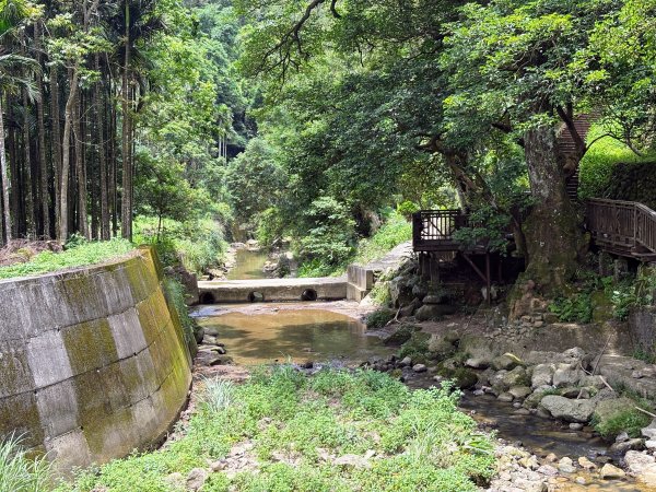 四寮溪生態步道2828534