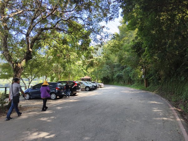 [漫遊縱谷 愛在花東-07/10] 2025_1012 花蓮鯉魚山步道群2913408